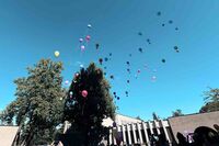 Bei einem Ballonwettbewerb steigen farbige Ballons in den Himmel.
