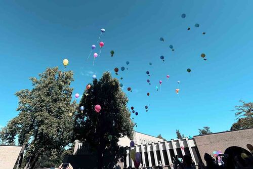 Bei einem Ballonwettbewerb steigen farbige Ballons in den Himmel.